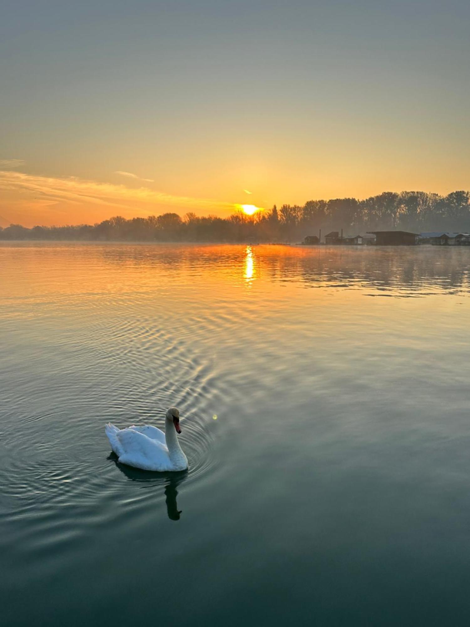 Hotel Swan Belgrad Zewnętrze zdjęcie